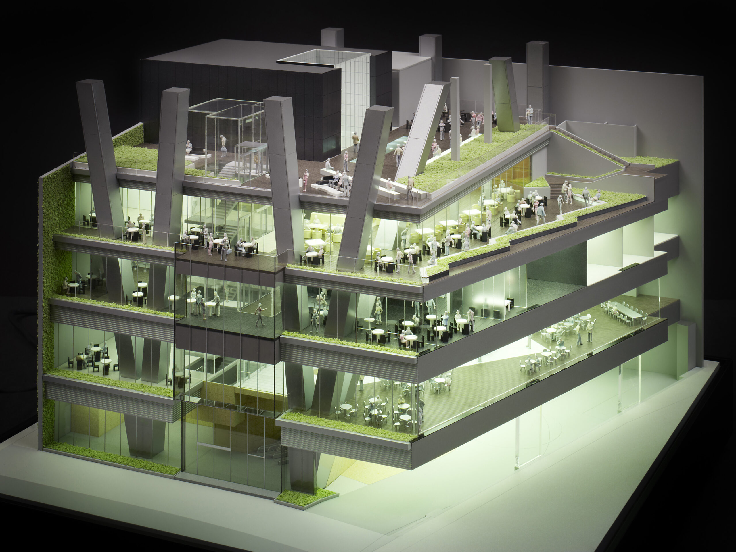 Hong Kong Project