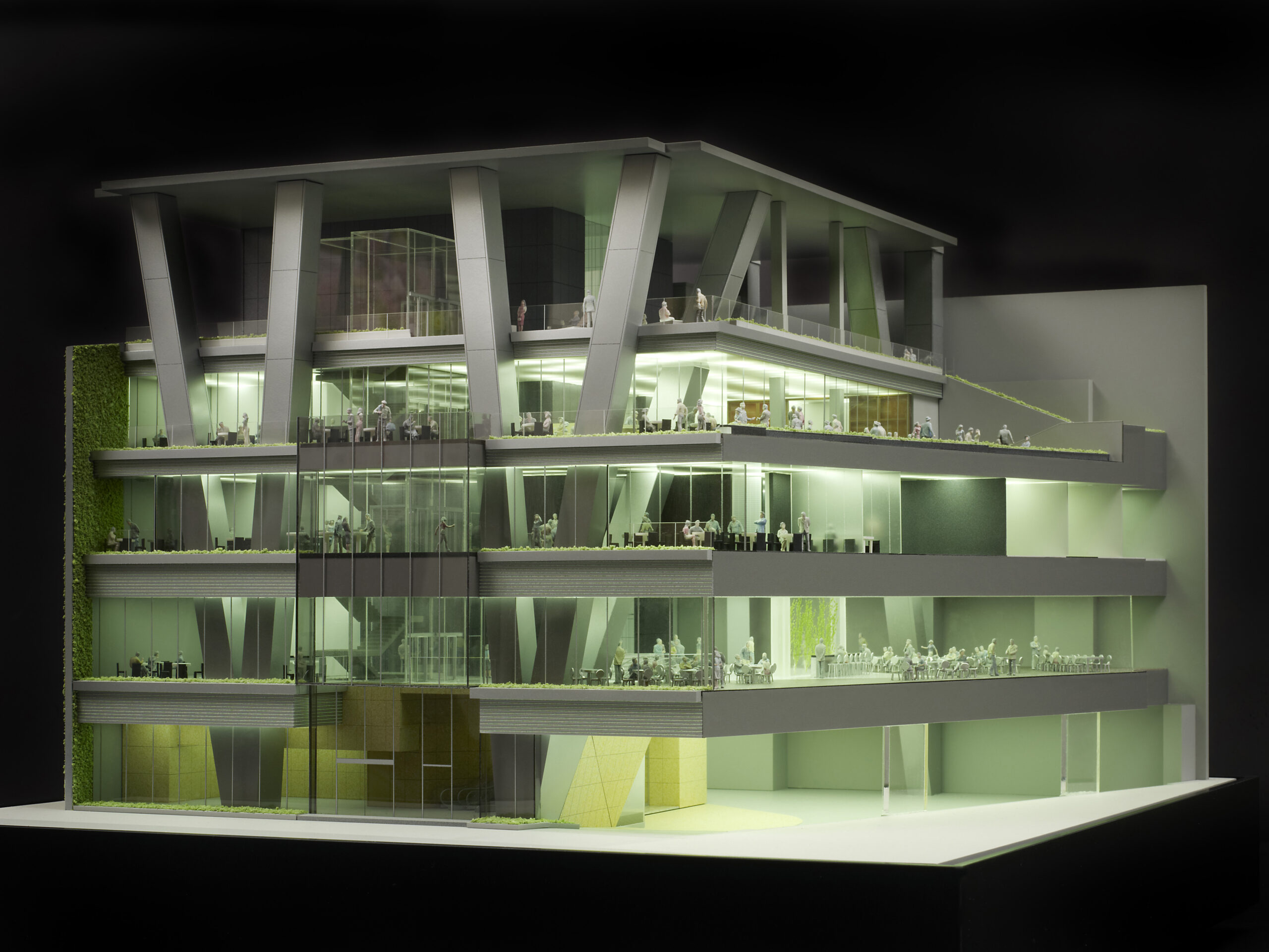 Hong Kong Project