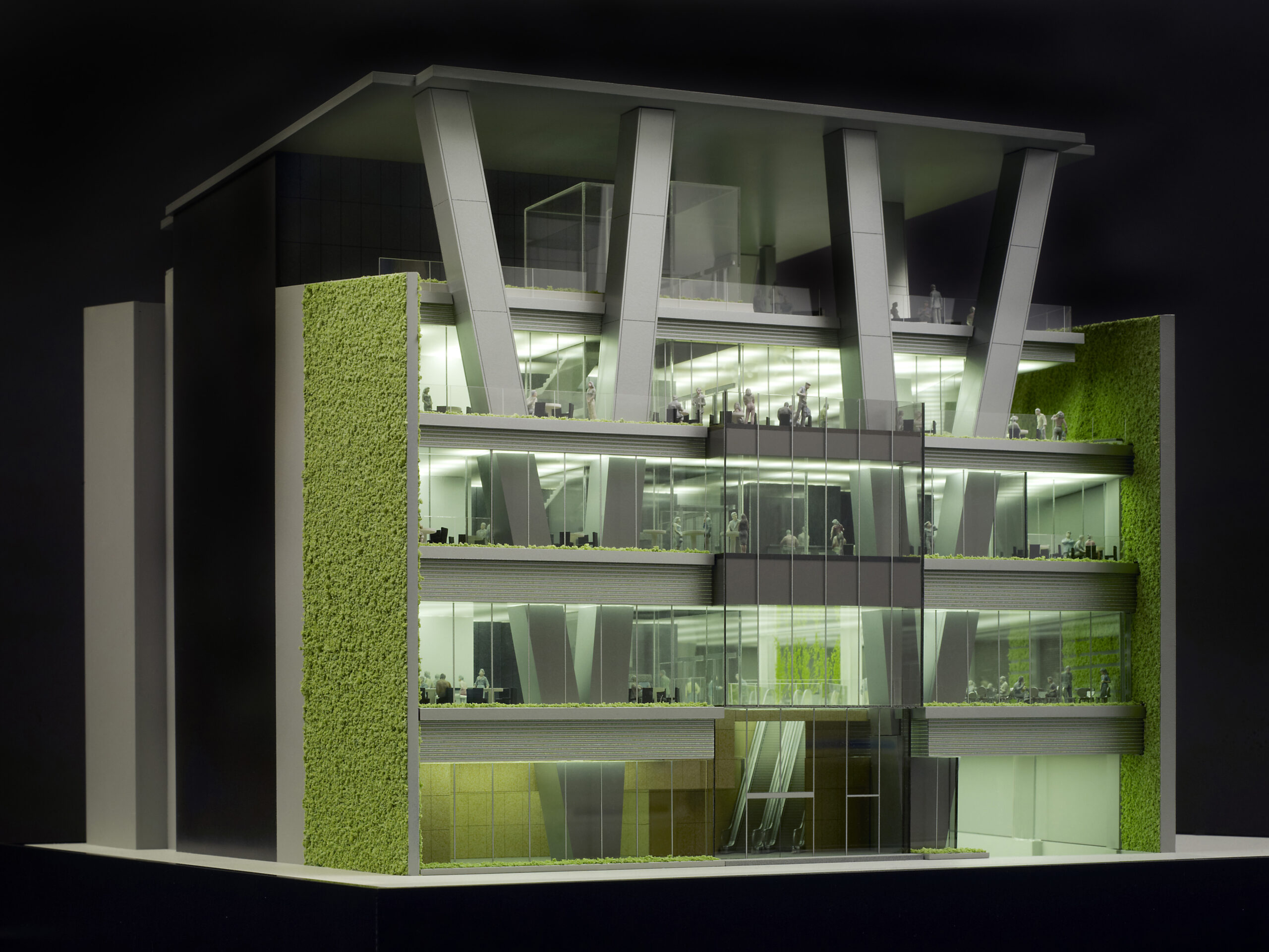 Hong Kong Project